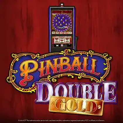 Pinball Double Gold game artwork